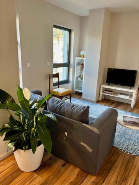 Three Little Birds Apartment Guimaraes Luaran gambar